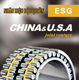 nhan-hieu-doc-quyen-esg